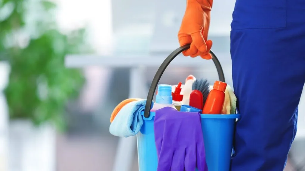 Reasons To Hire A Housekeeper